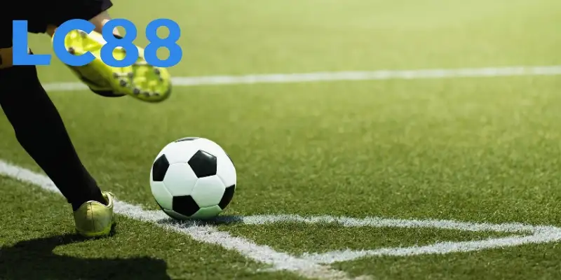 Tìm hiểu về cách đặt cược kèo rung hiệu quả